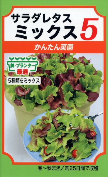 サラダレタスミックス5