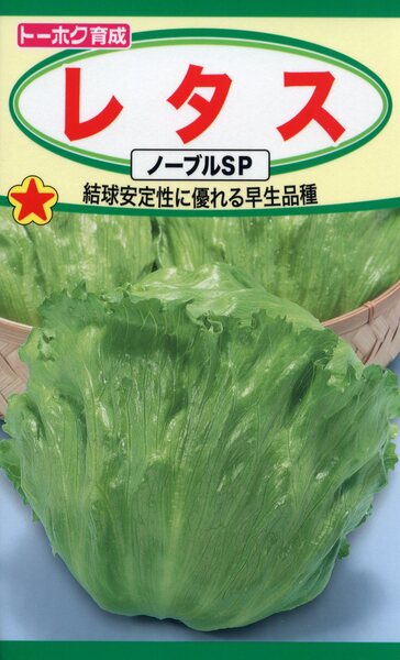 レタス ノーブルSP