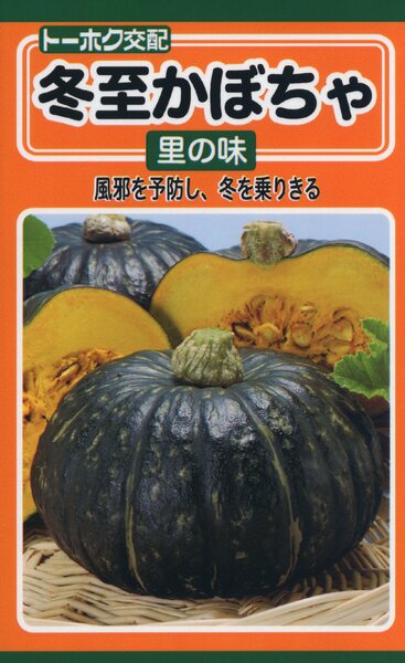 冬至カボチャ 里の味