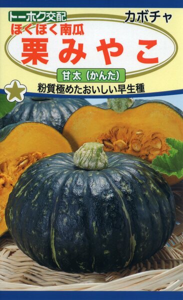 F1 ほくほく南瓜 栗みやこ 甘太 かんた