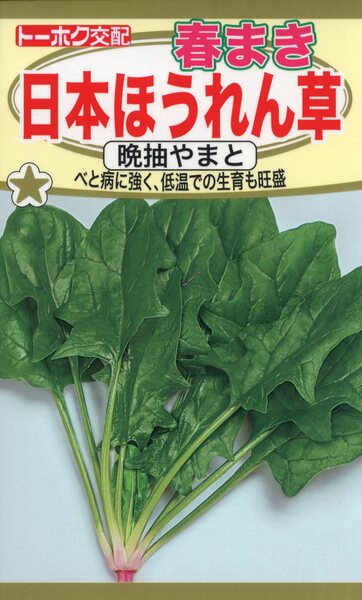 F1 春まき 日本ほうれん草 晩抽やまと
