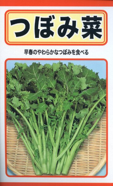 つぼみ菜