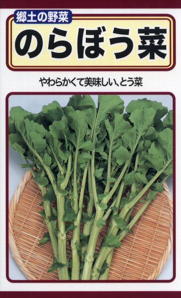 のらぼう菜