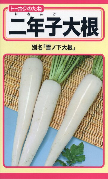 二年子大根