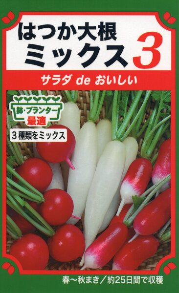 はつか大根ミックス3