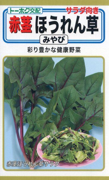 F1 赤茎ほうれん草 みやび