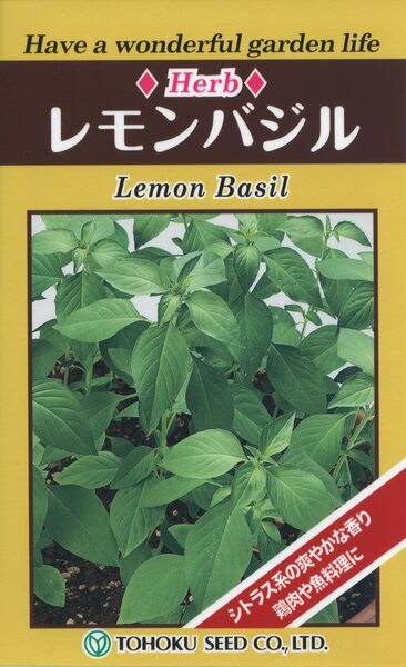ハーブ レモンバジル