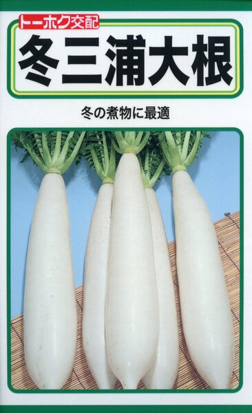 F1 冬三浦大根