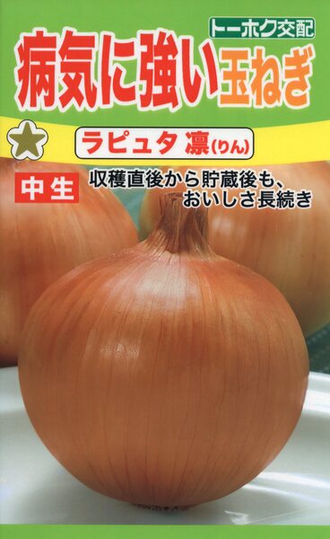 F1 玉ねぎ ラピュタ 凛(りん)