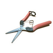 サボテン 衝撃吸収 左利き用摘果鋏