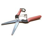 サボテン 衝撃吸収 左利き用青果鋏