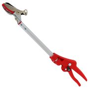 ちょこっと剪定 奥の手