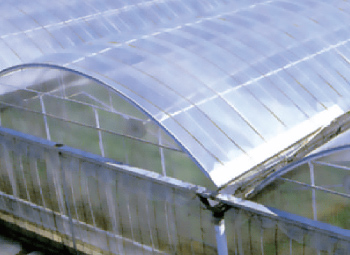 ハウス用 農ビニール