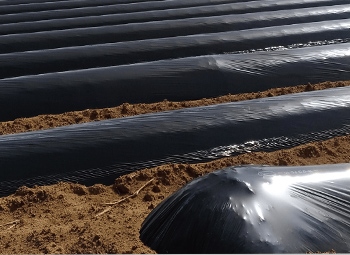 マルチ・農ポリ