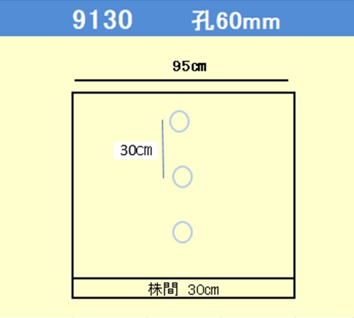 オリジナル国産白黒穴あきマルチ 厚さ0.021mm(規格9130X200m 孔径