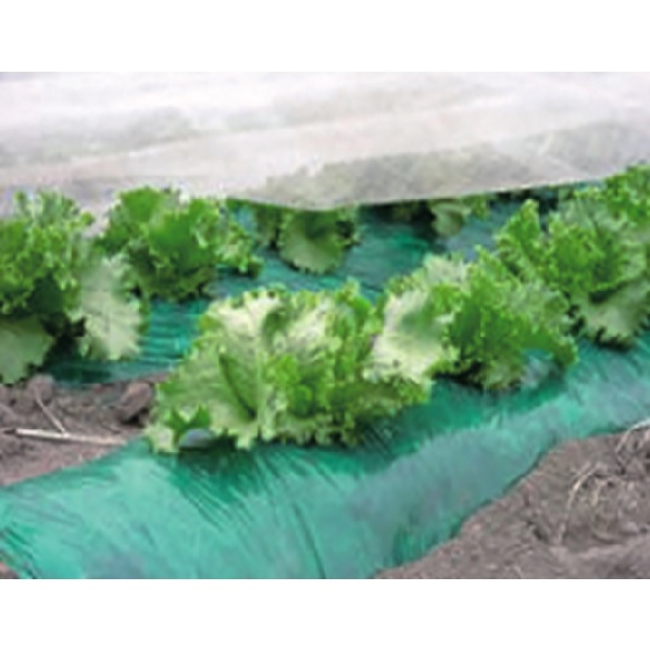 グリーンマルチダーク 厚さ0.02mm｜品揃え日本最大級！農業資材・農業