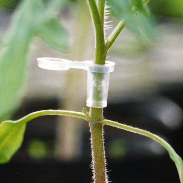 スーパーウィズ