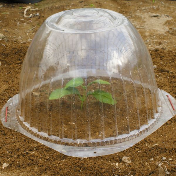 苗ドーム(小5枚セット): 農業資材