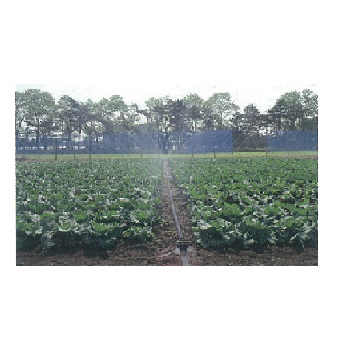 スミサンスイ　R-露地ワイド