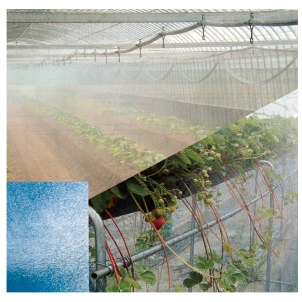 ミストエース20ハウスクール(02L 100m): 農業資材