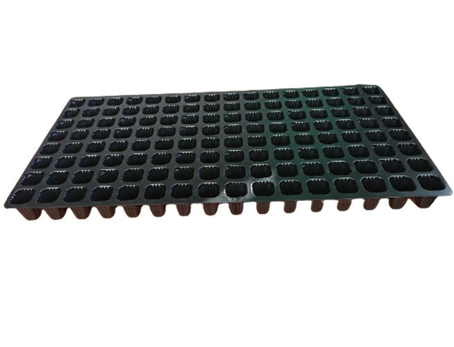 タキイ根巻防止セルトレイ（ストロングM型）(128穴 黒 100枚入): 農業資材