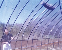 ソフトクリヤー