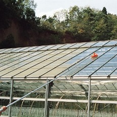 MAXハウス洗浄機