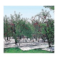 強力アルミ反射クロスシート（有孔）