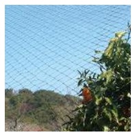 強力防鳥網 2000デニール（黒）