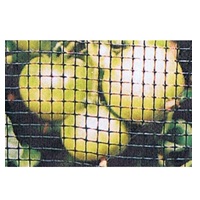 マルハナネット　黒