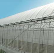 ムシカットストロング 長さ50m