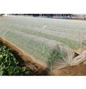 ダイオサンシャインS-2000