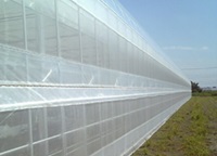 サンシャインスーパーソフトQ　NST-5500