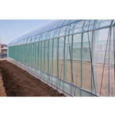 ダイオ虫バリア　GK-2900