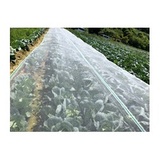 タイフーンカバー