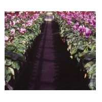 ラブシート通路マット