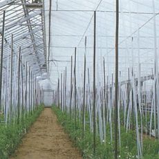 スーパーラブシートFX（カーテン用）