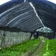 オリジナル折畳遮光ネット黒　幅2ｍ