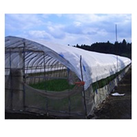 クールホワイト　2m×50m