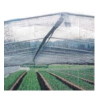 ダイオ涼か　シルバー