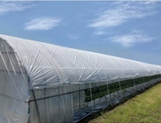 AGシェード 白 平米加工品