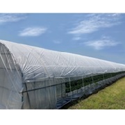 AGシェード 白 W55