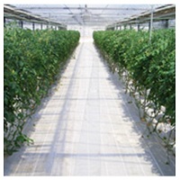 グランドシート　銀×銀