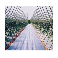 アグリシート シルバーグレー（SG1515）