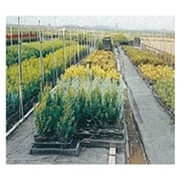 強力ＪＰシート　黒