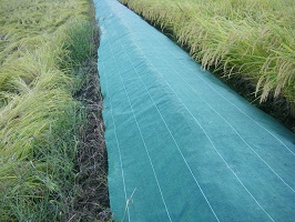 ダイオ畦クロスBG