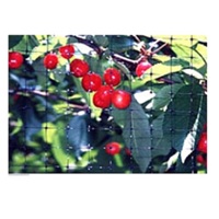 バードネット 黒 (コンウェッドネット）