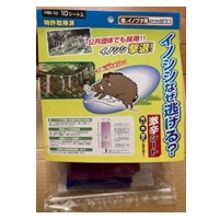 イノシシなぜ逃げる？