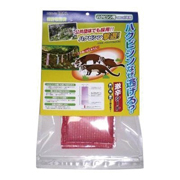 ハクビシンなぜ逃げる