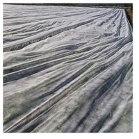 パスライト　羽衣